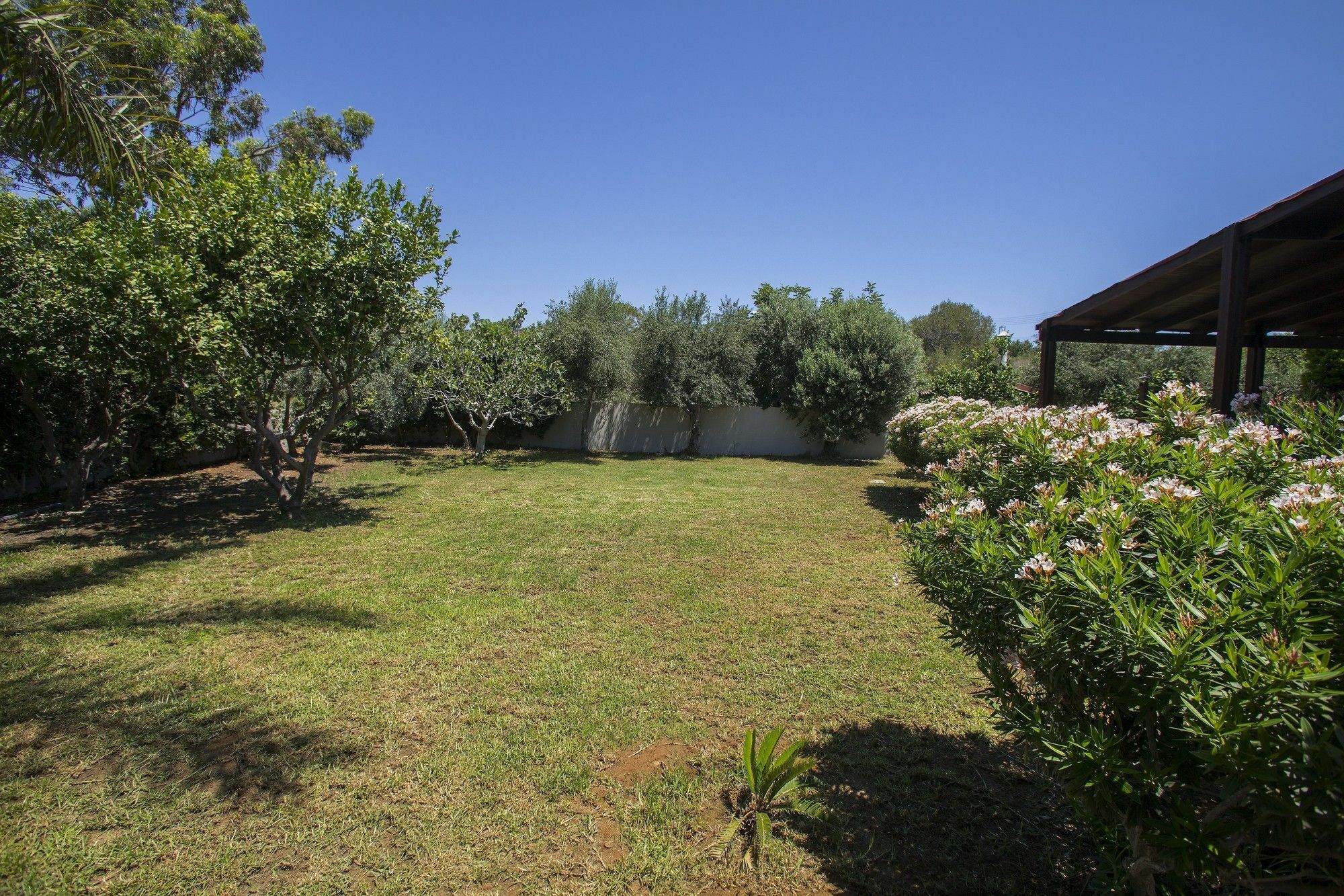 Ayia Napa Villa Magnolia Exterior photo